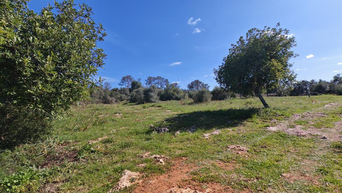 For sale of land in Costitx
