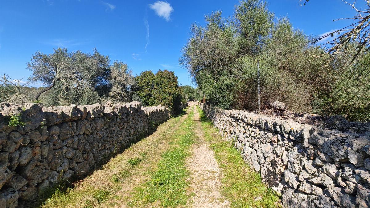 For sale of land in Costitx