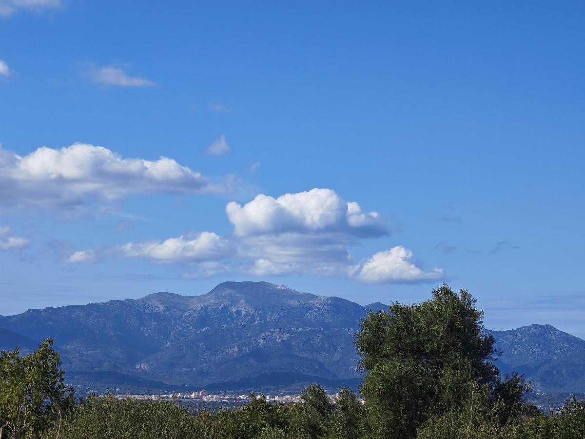For sale of land in Costitx