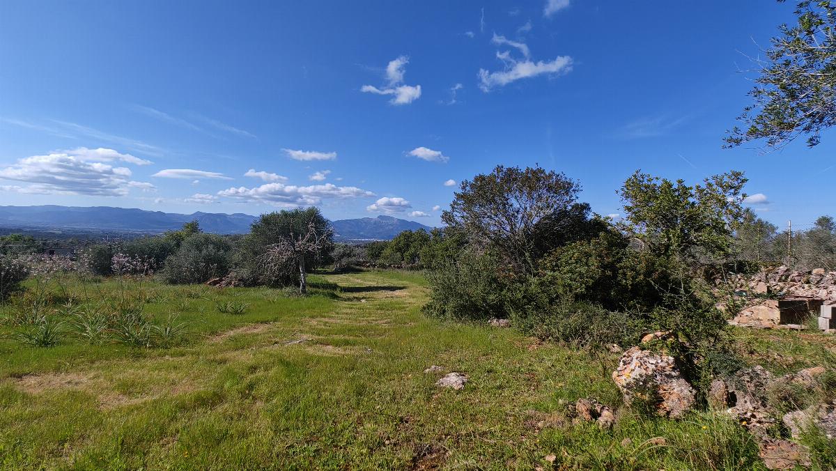For sale of land in Costitx