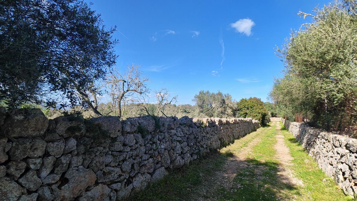 For sale of land in Costitx