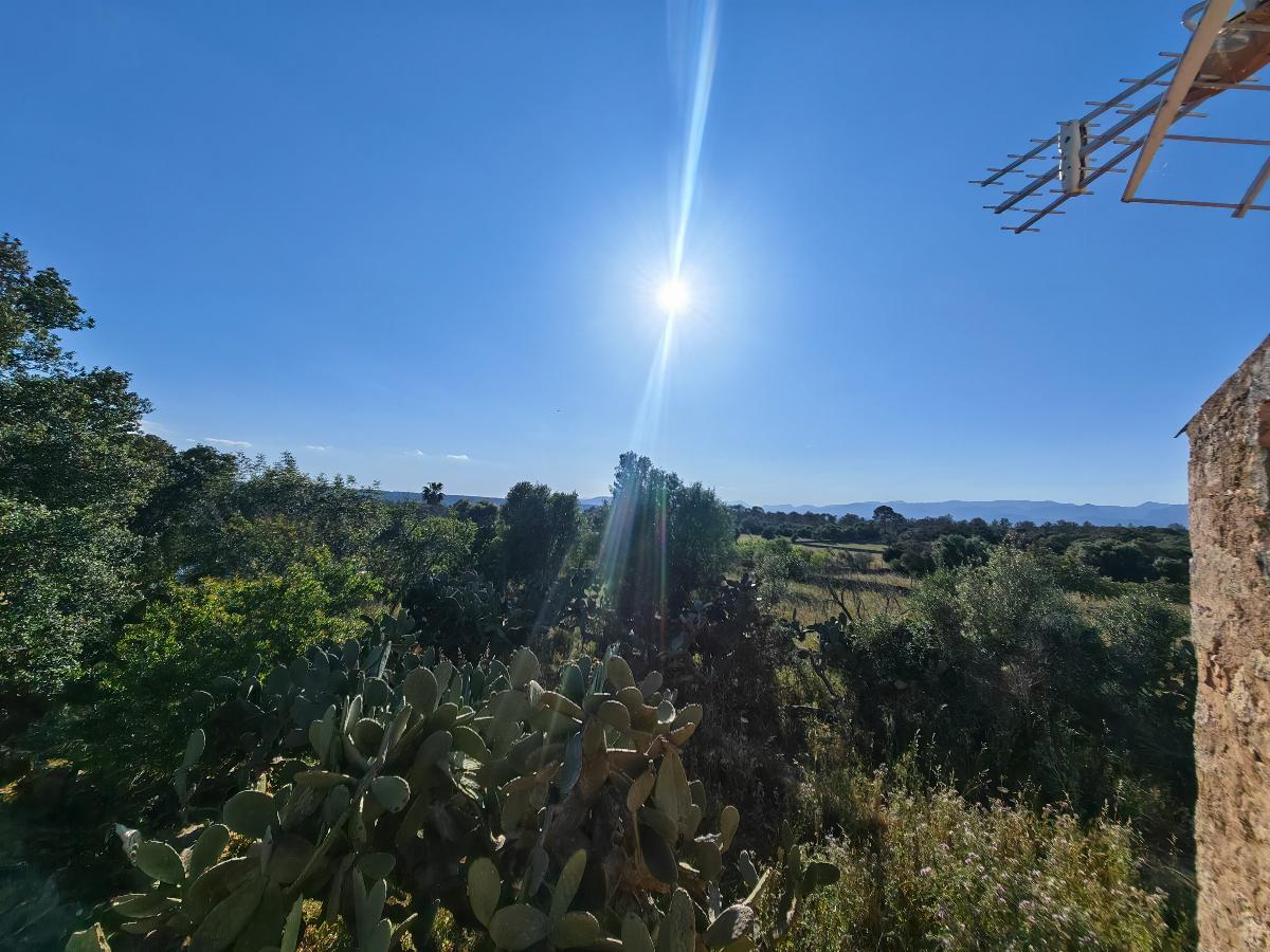 For sale of house in Costitx