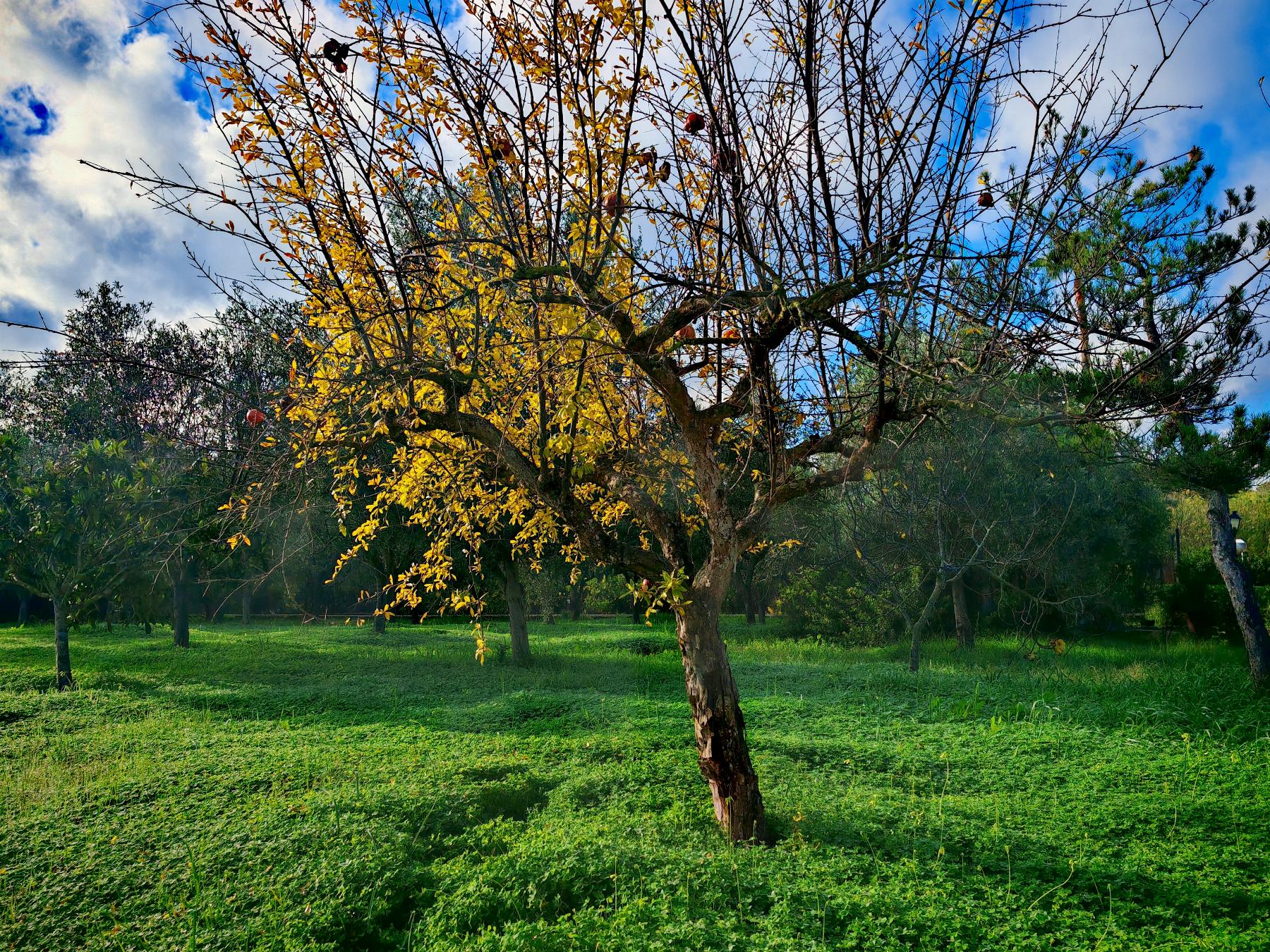 Venta de casa en Palma de Mallorca