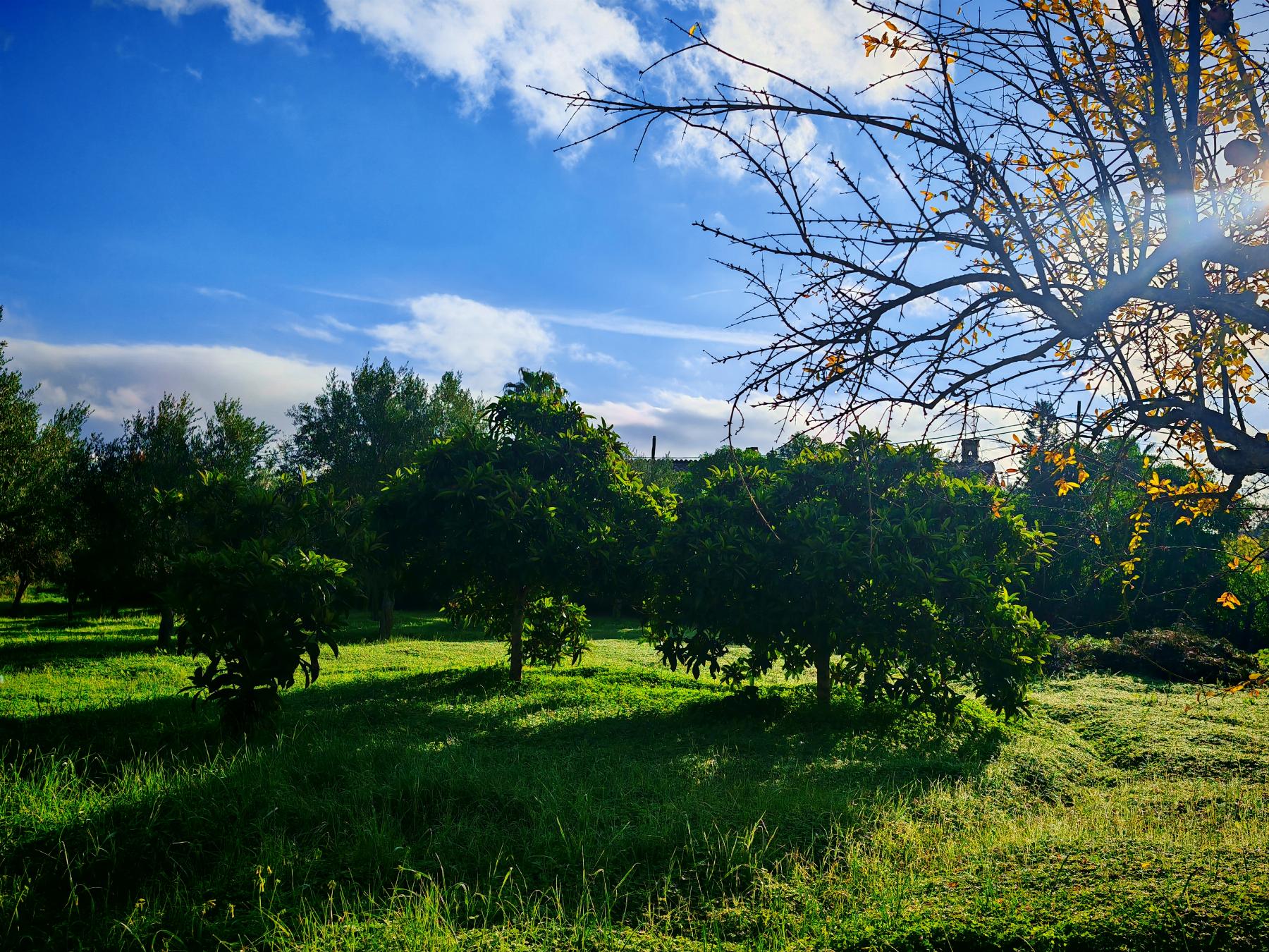 Venta de casa en Palma de Mallorca