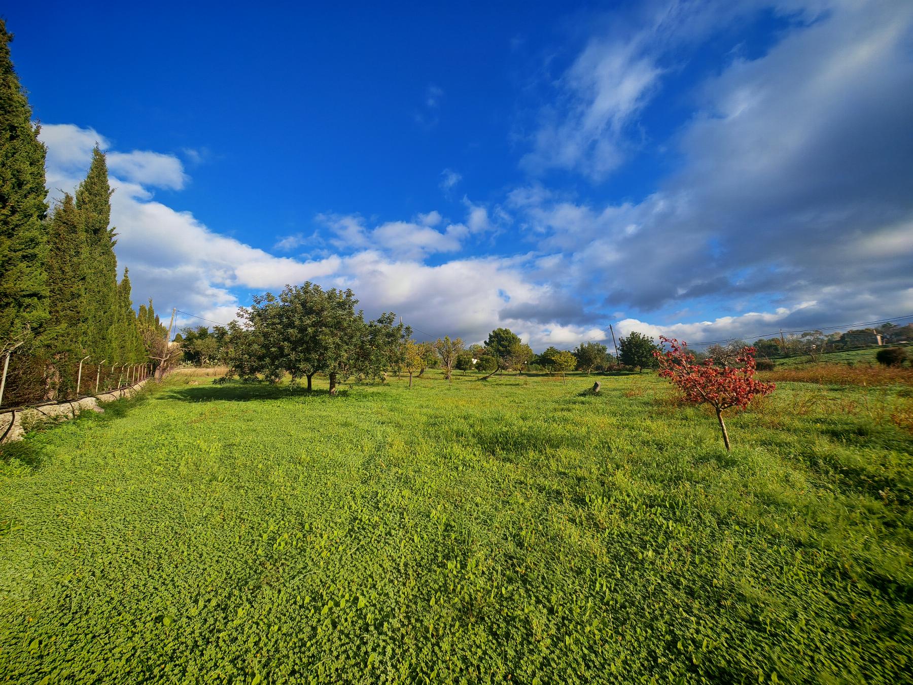 Venta de casa en Palma de Mallorca