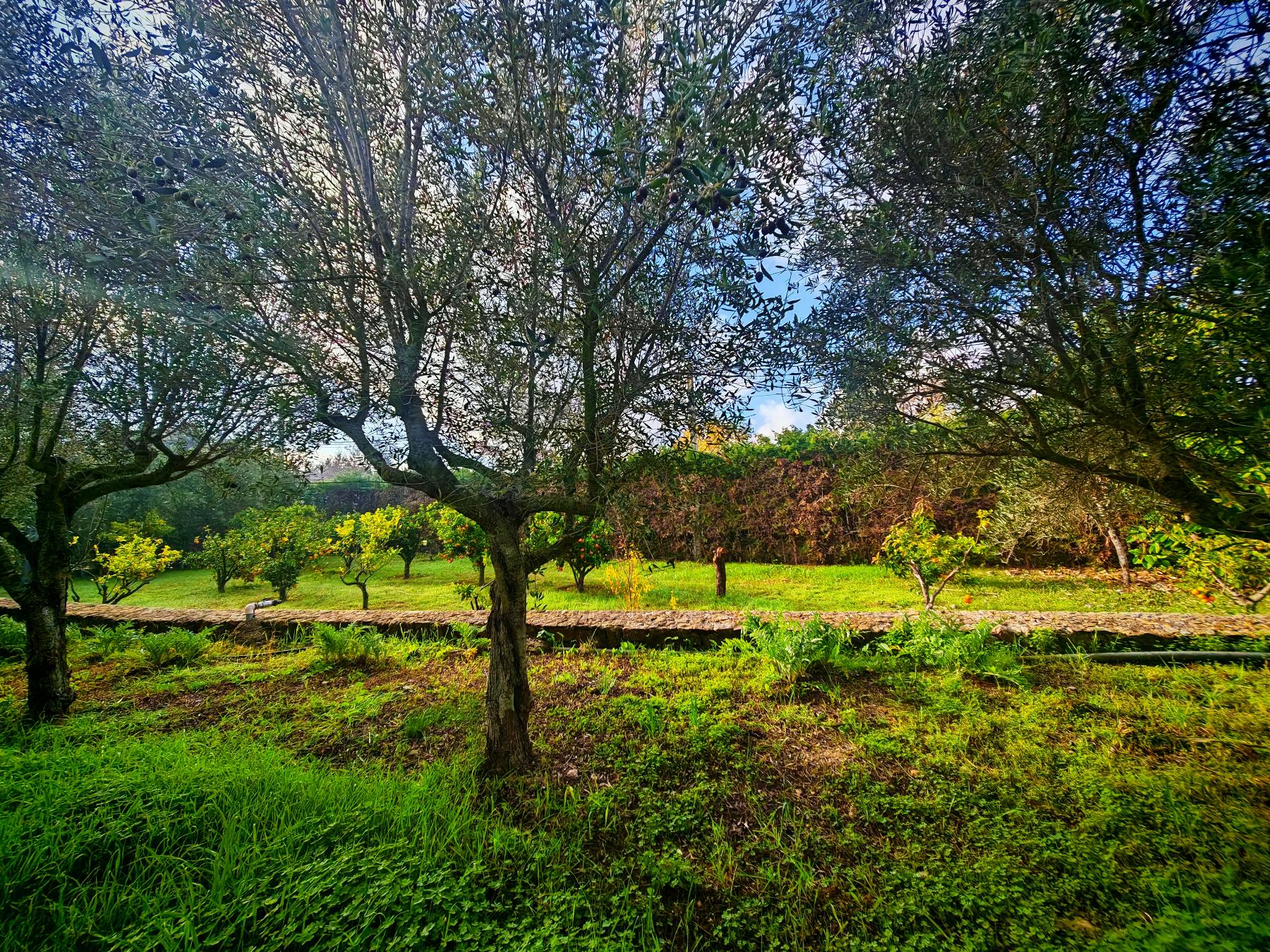 Venta de casa en Palma de Mallorca