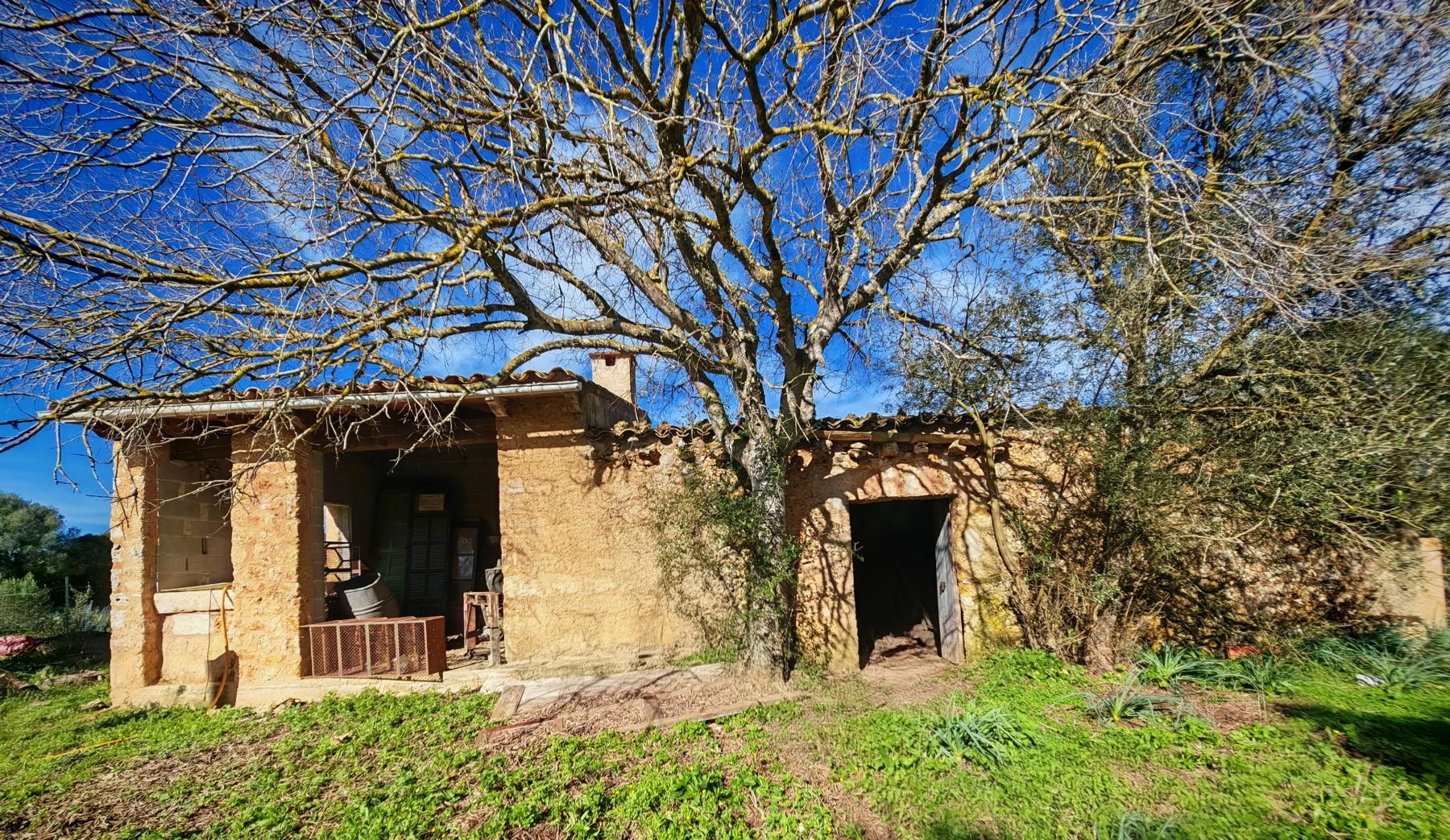 Venta de finca rústica en Costitx