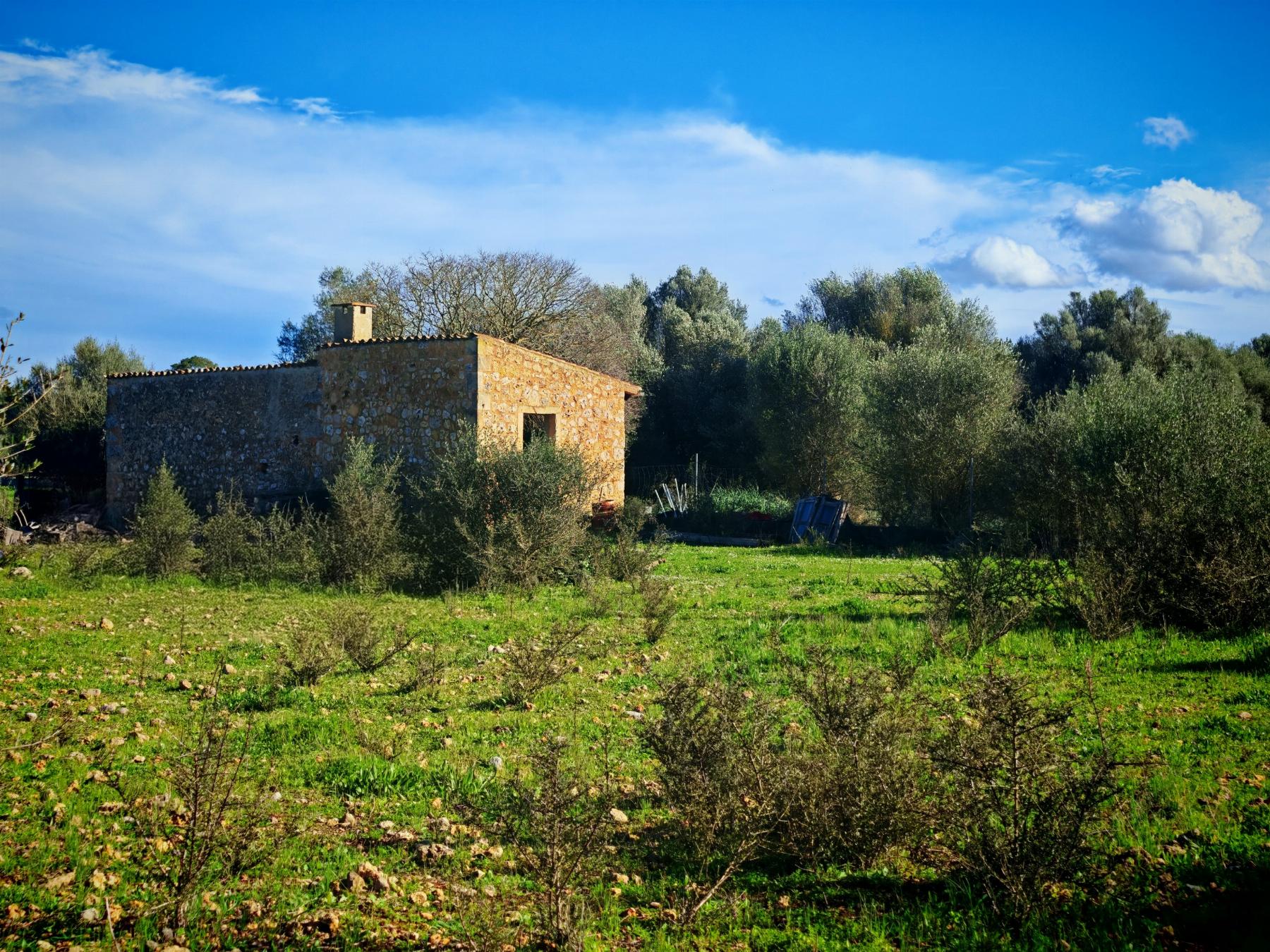 Venta de finca rústica en Costitx