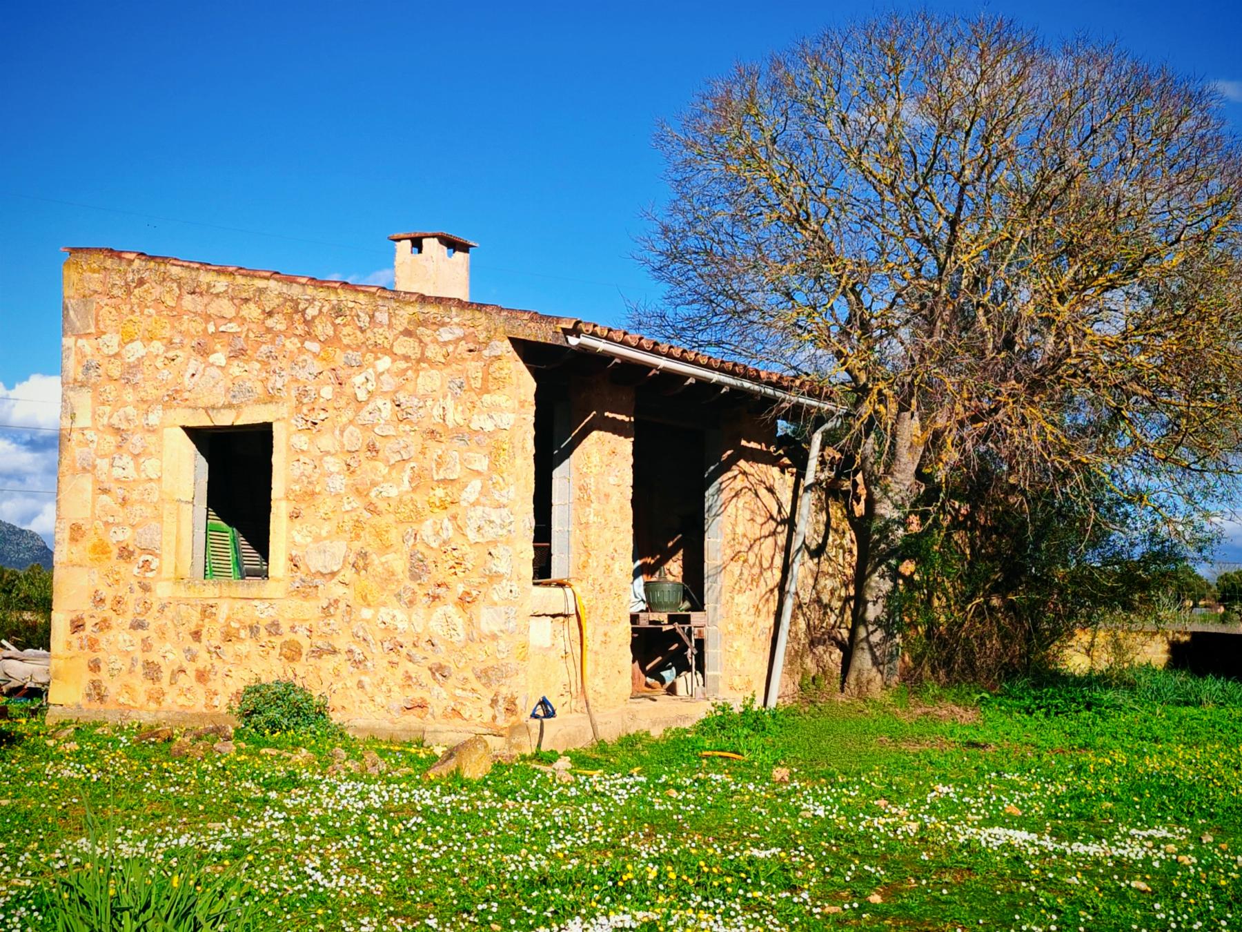 Venta de finca rústica en Costitx