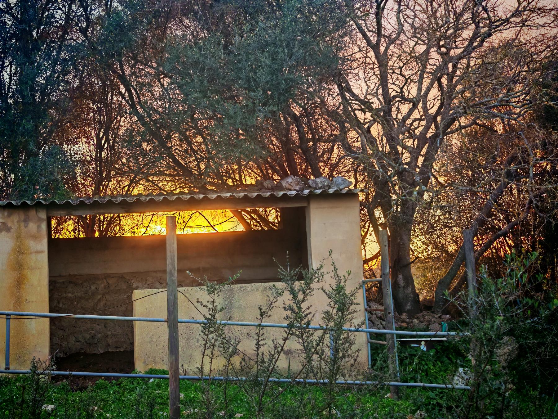 Venta de finca rústica en Costitx