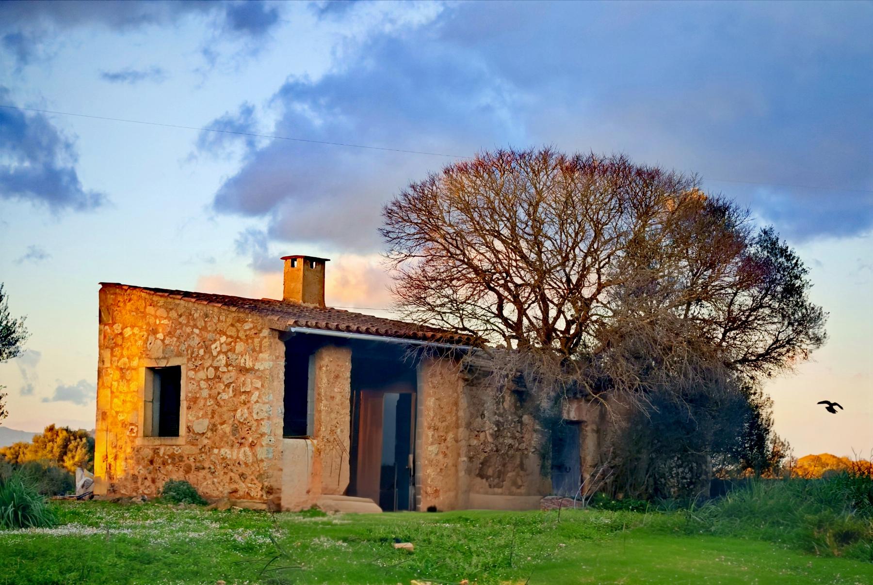 Venta de finca rústica en Costitx