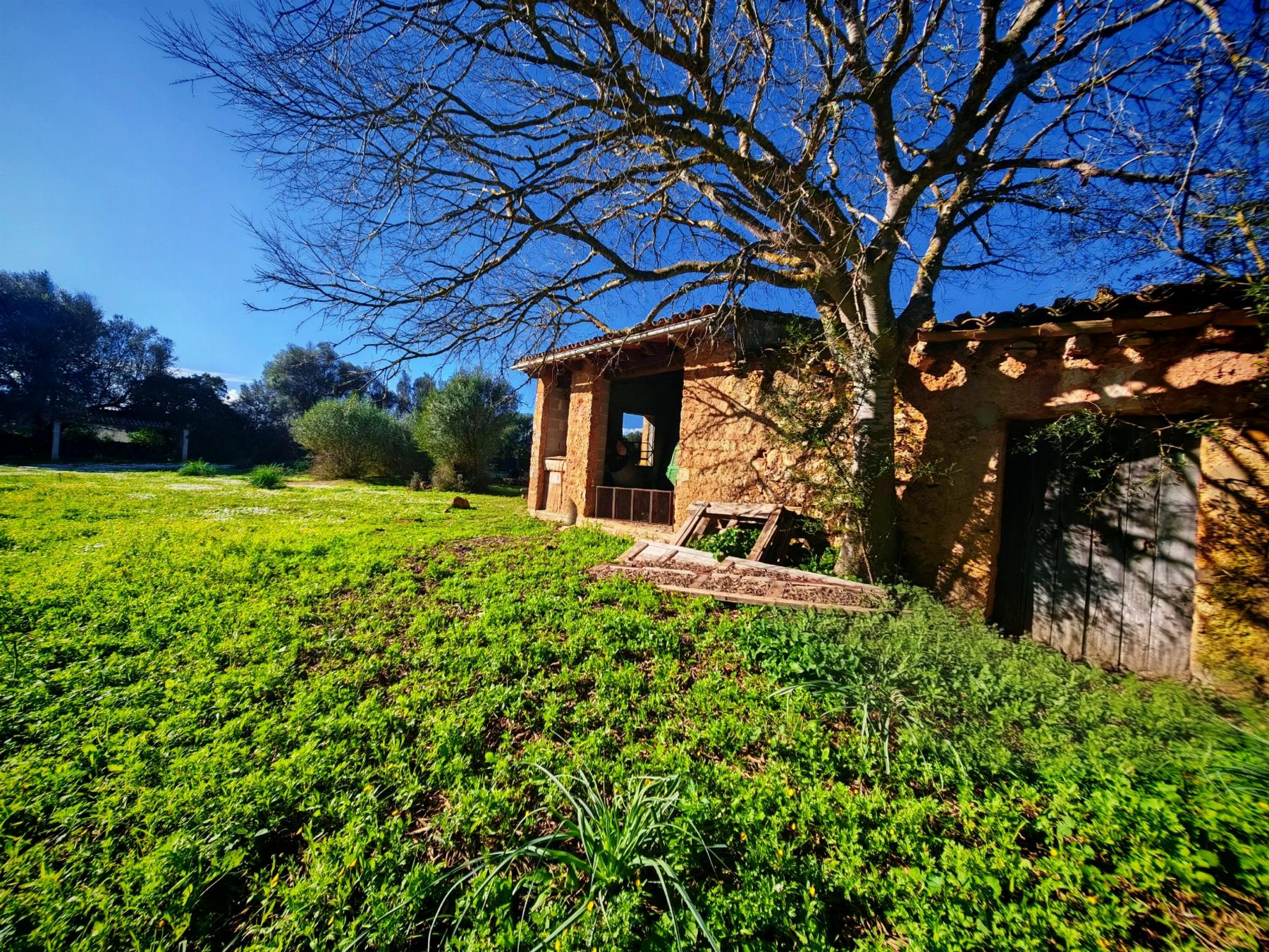 Venta de finca rústica en Costitx