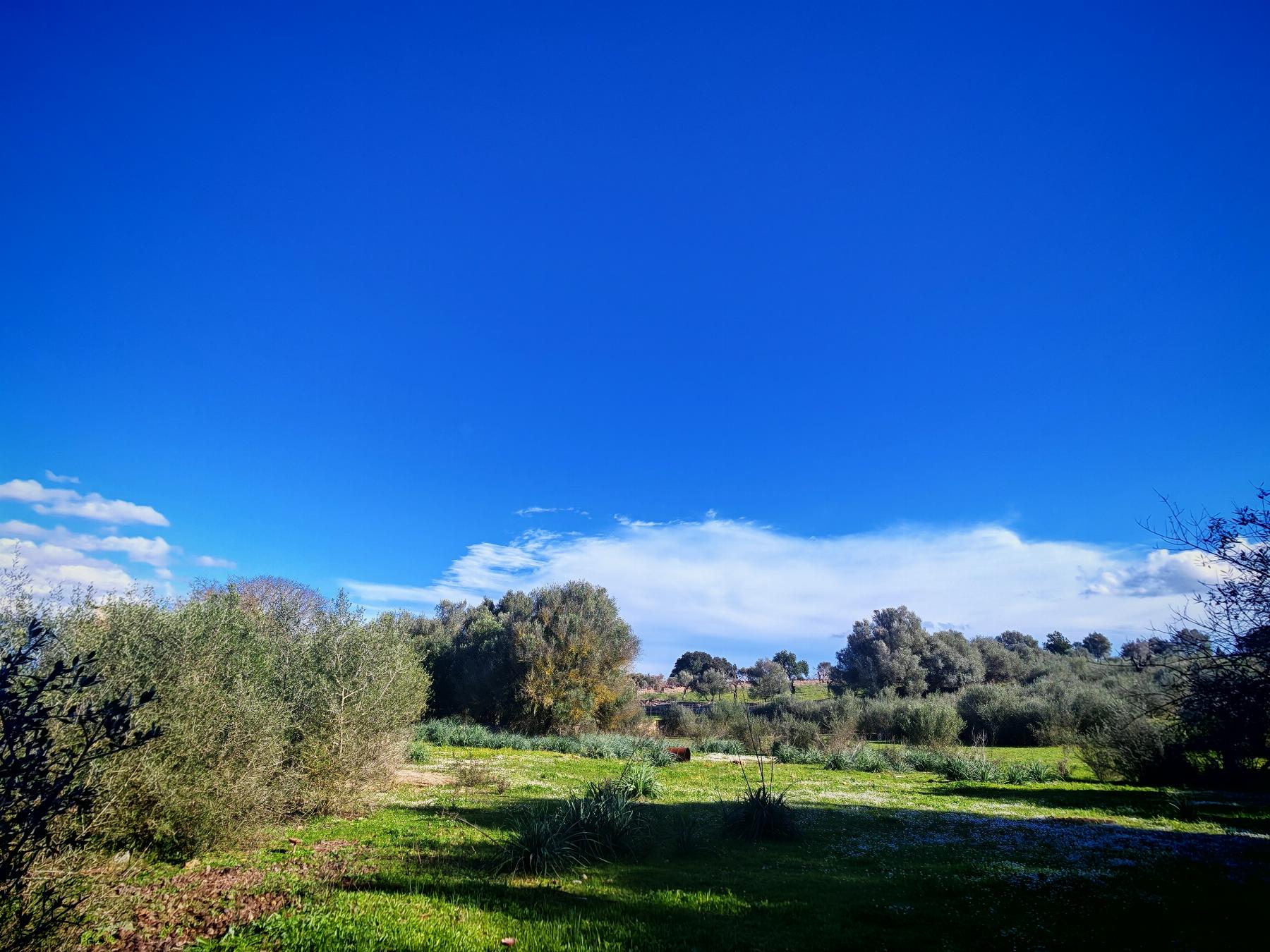 Venta de finca rústica en Costitx
