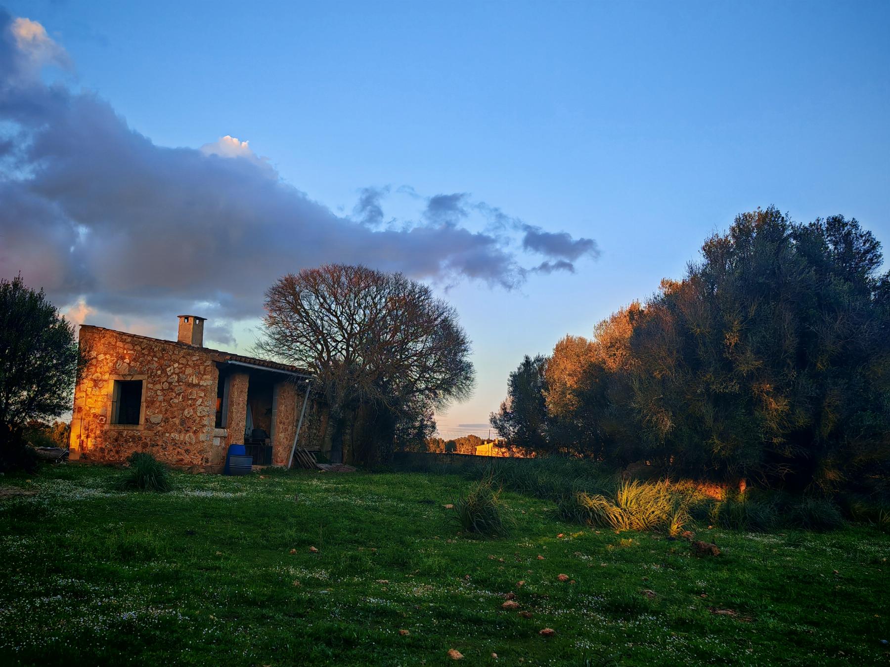 Venta de finca rústica en Costitx