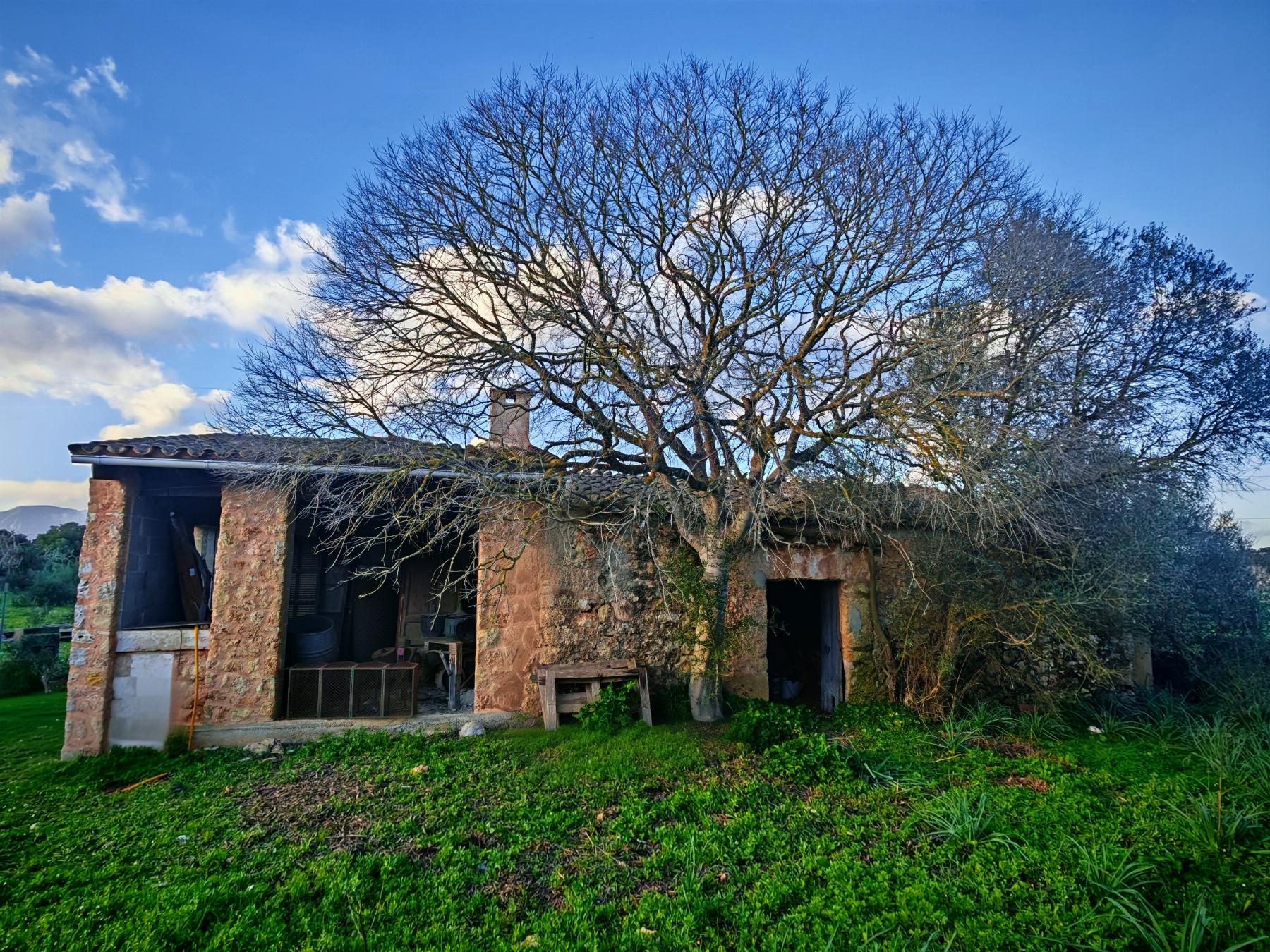 Venta de finca rústica en Costitx