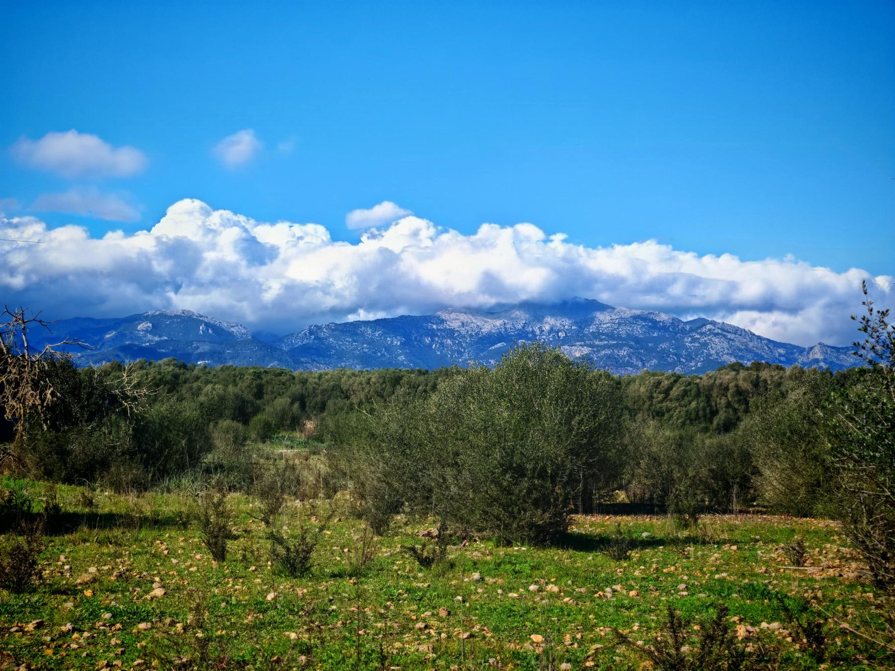 Venta de finca rústica en Costitx