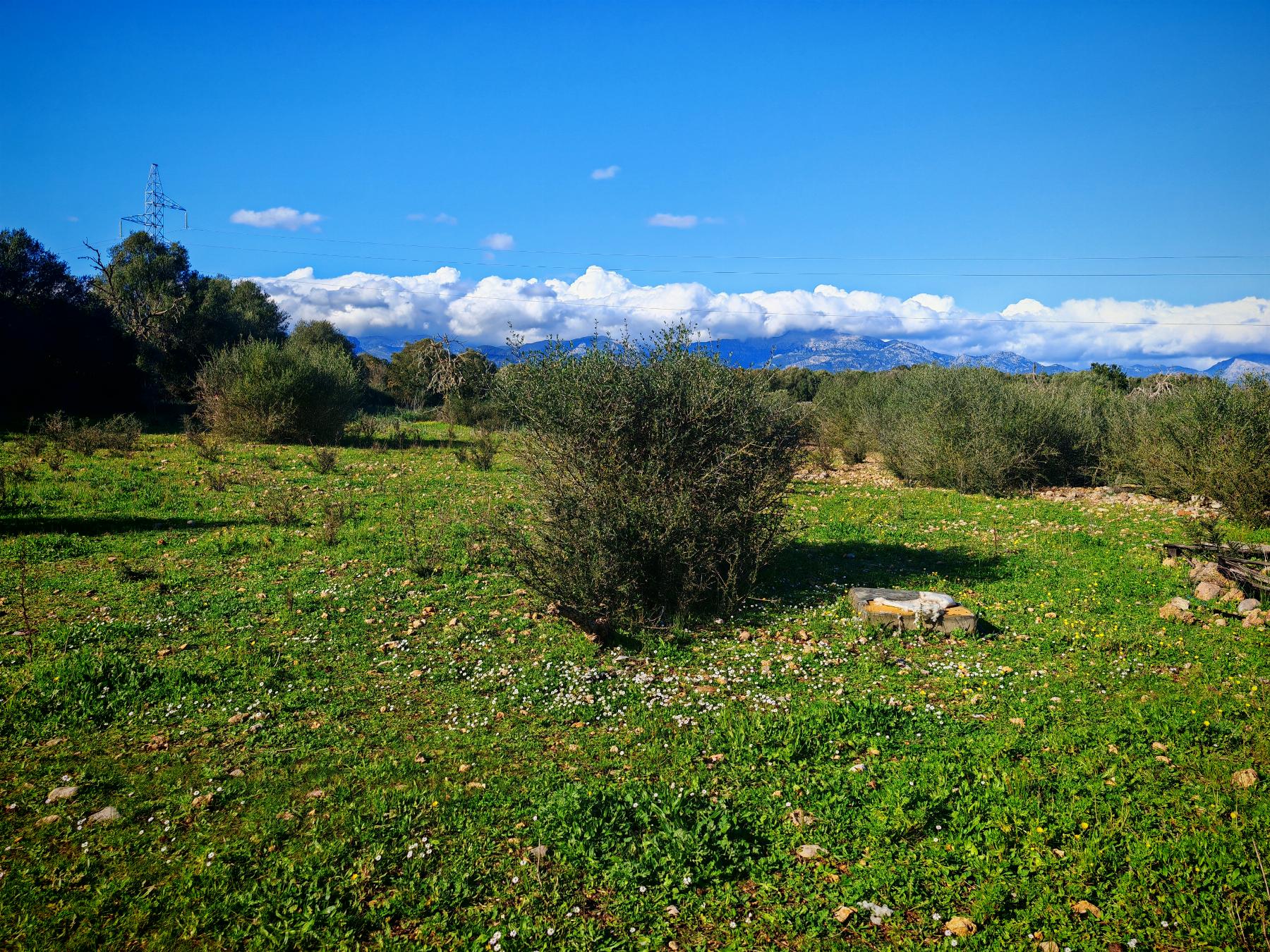 Venta de finca rústica en Costitx