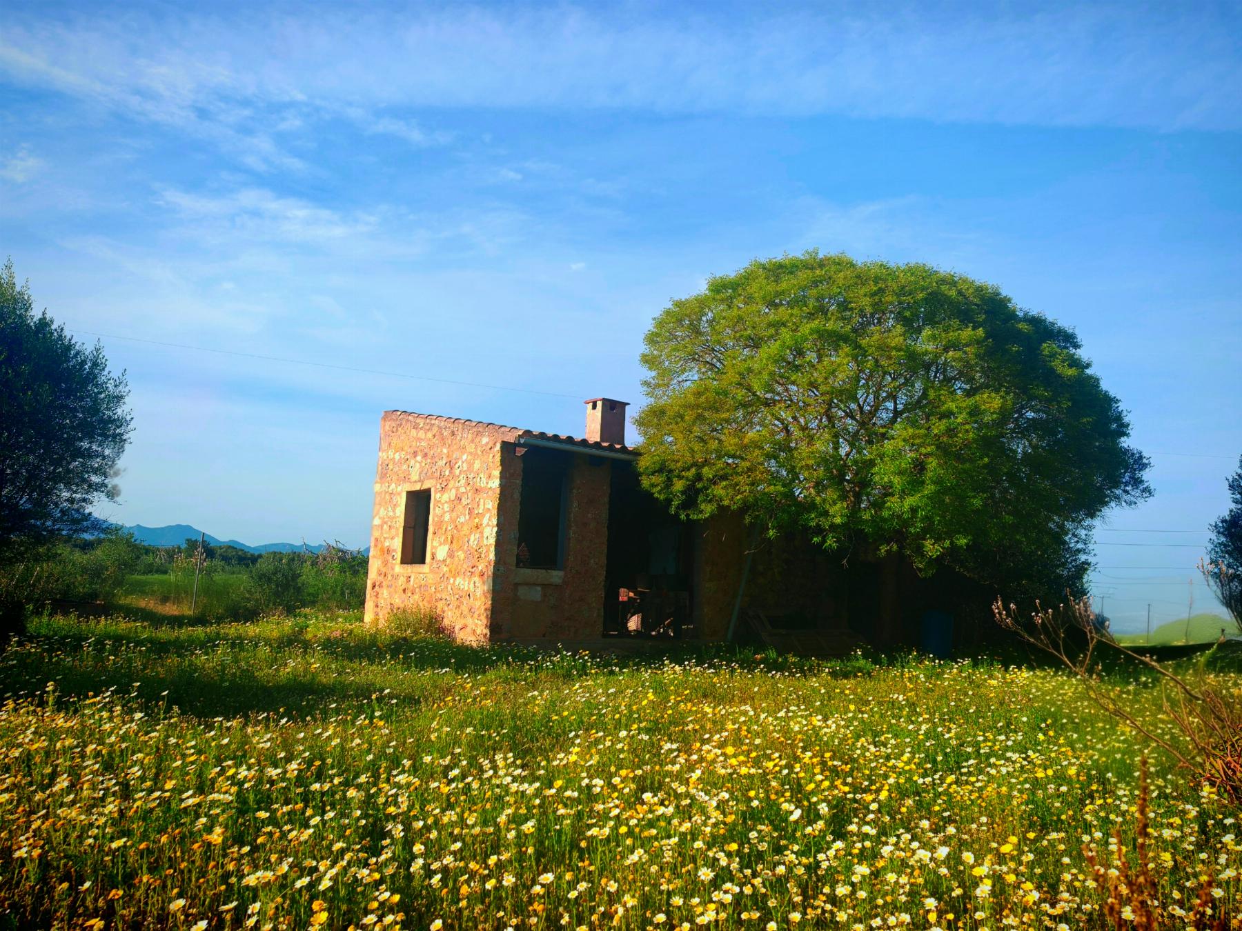 For sale of rural property in Costitx