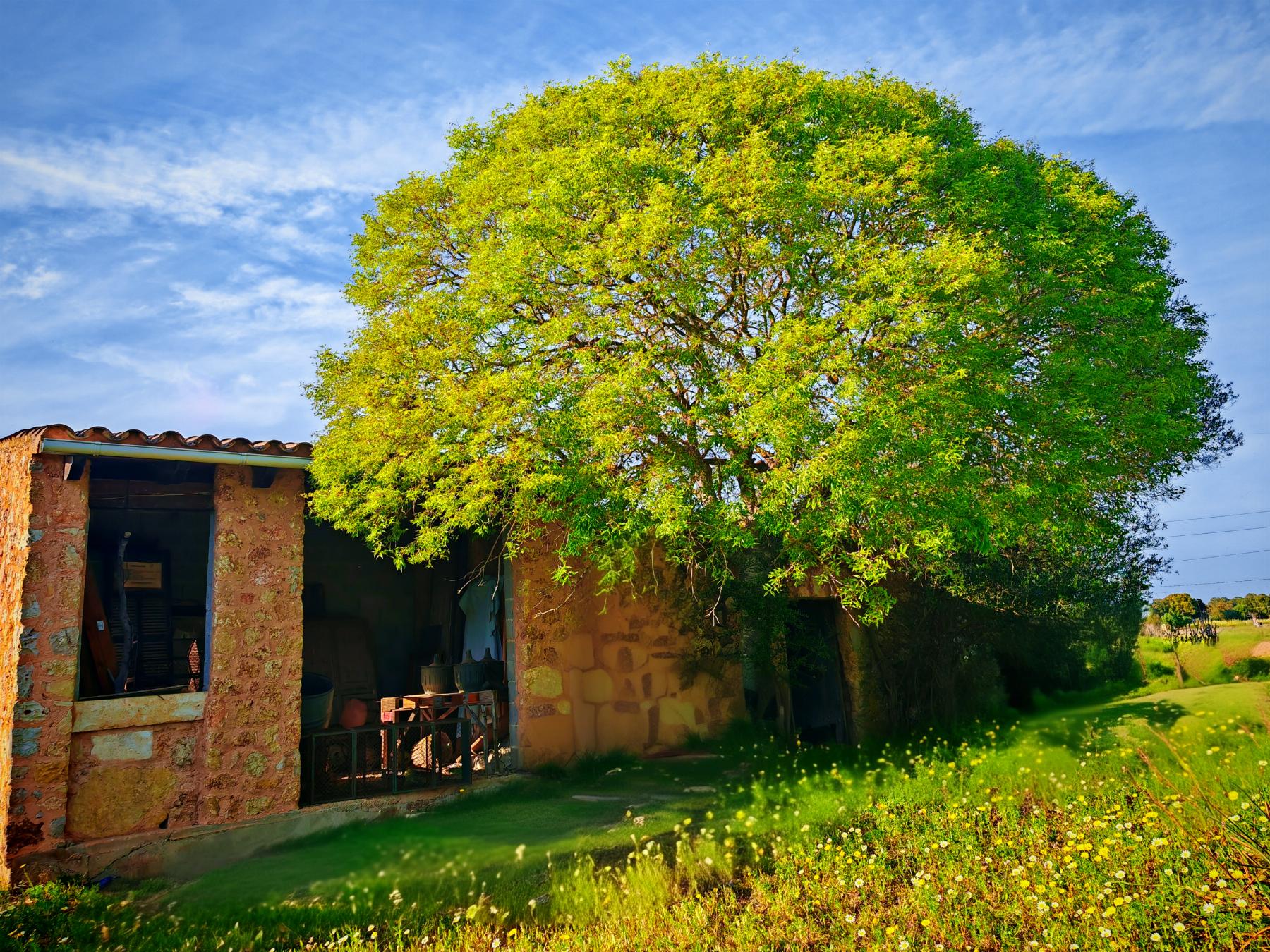 For sale of rural property in Costitx