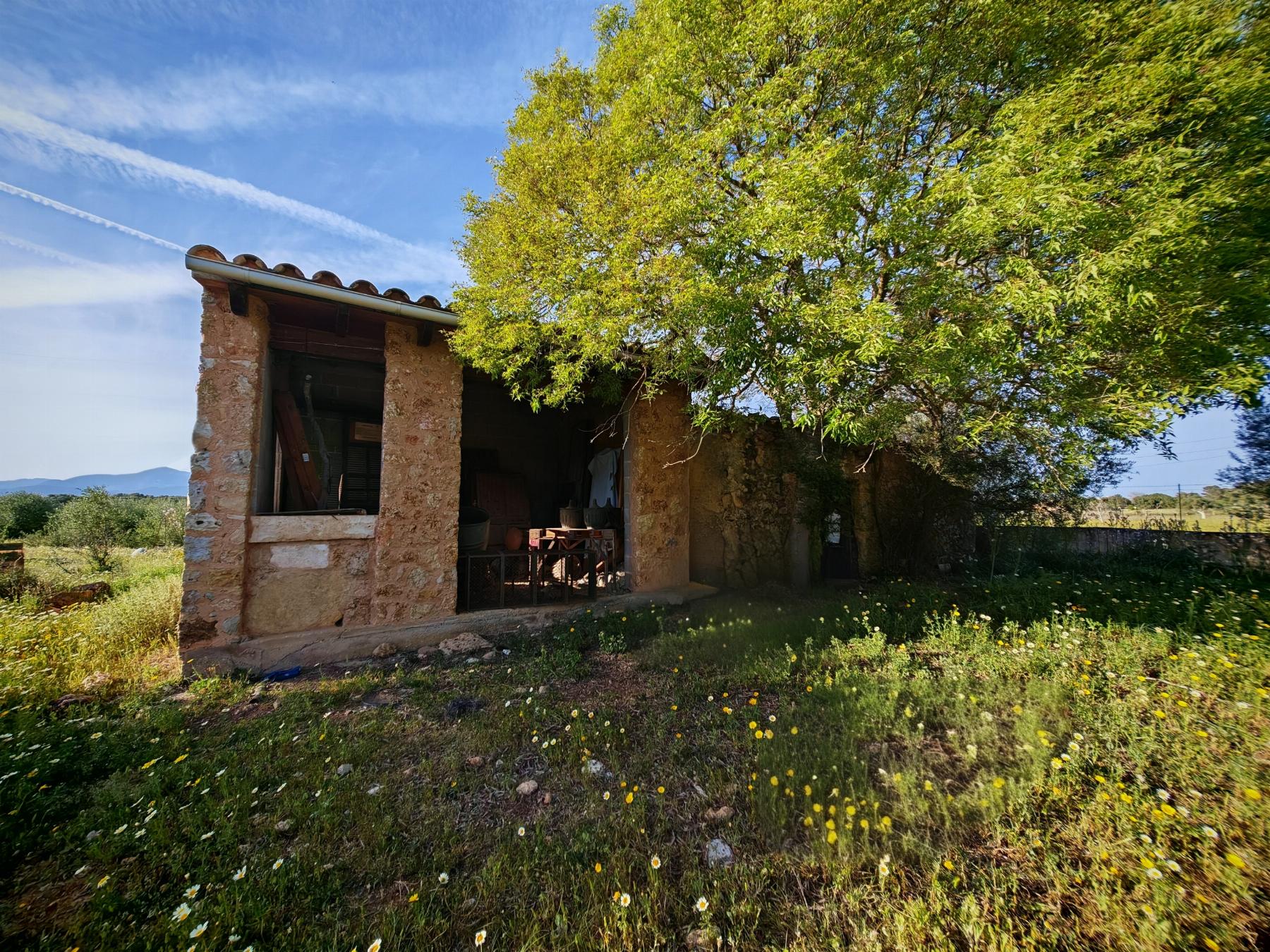 For sale of rural property in Costitx