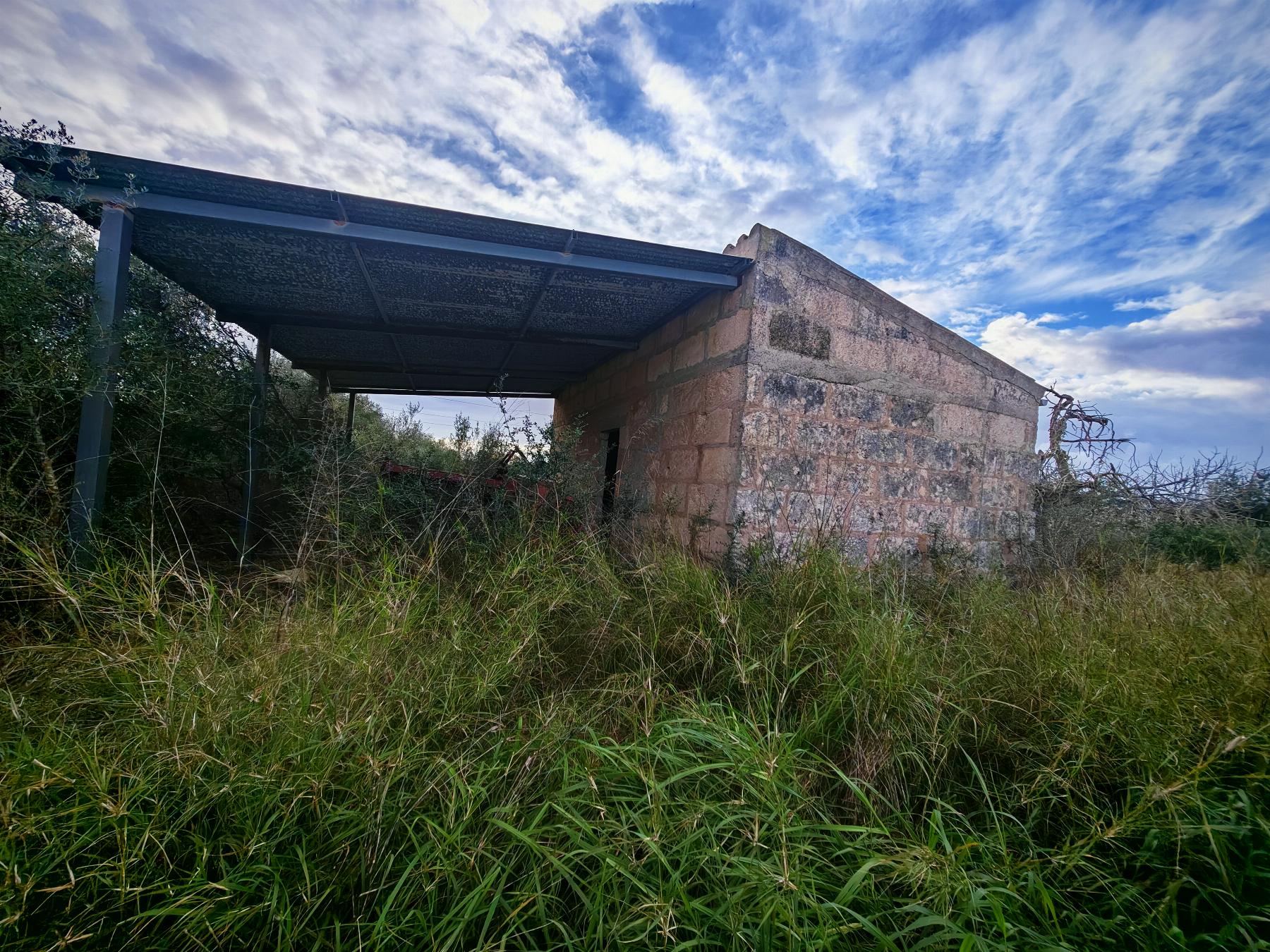 Venta de finca rústica en Llubí