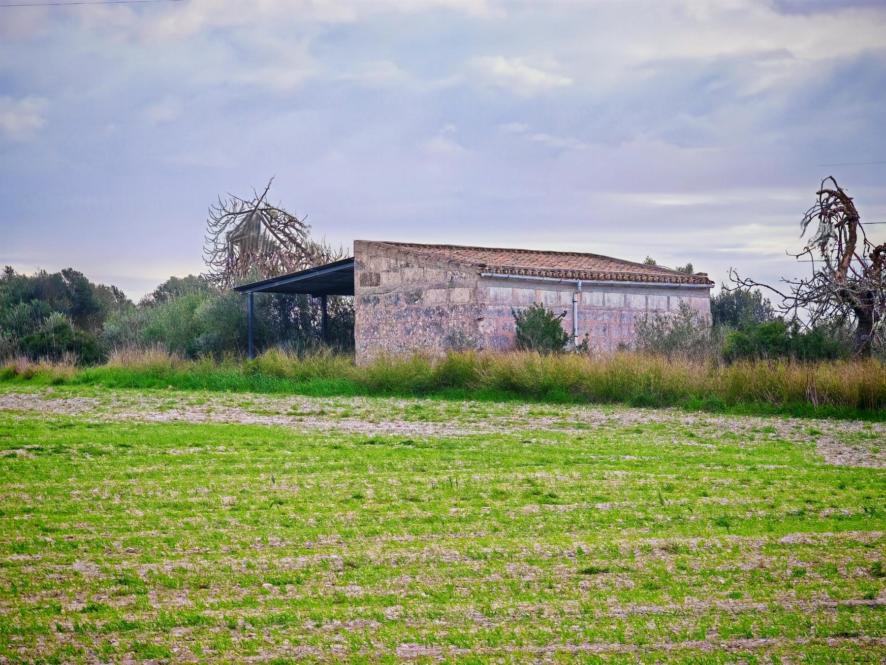 Venta de finca rústica en Llubí