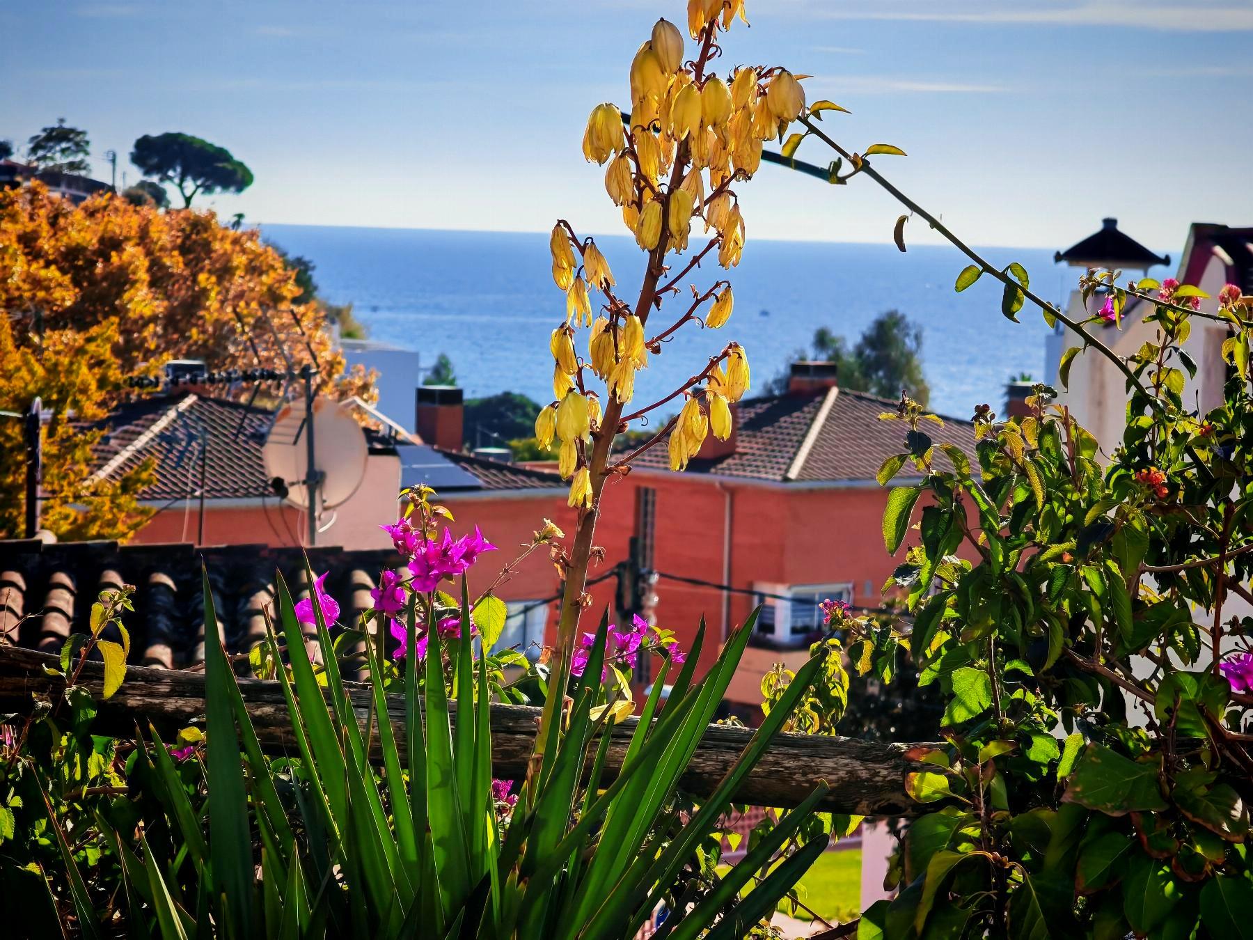 Venta de casa en Canet de Mar