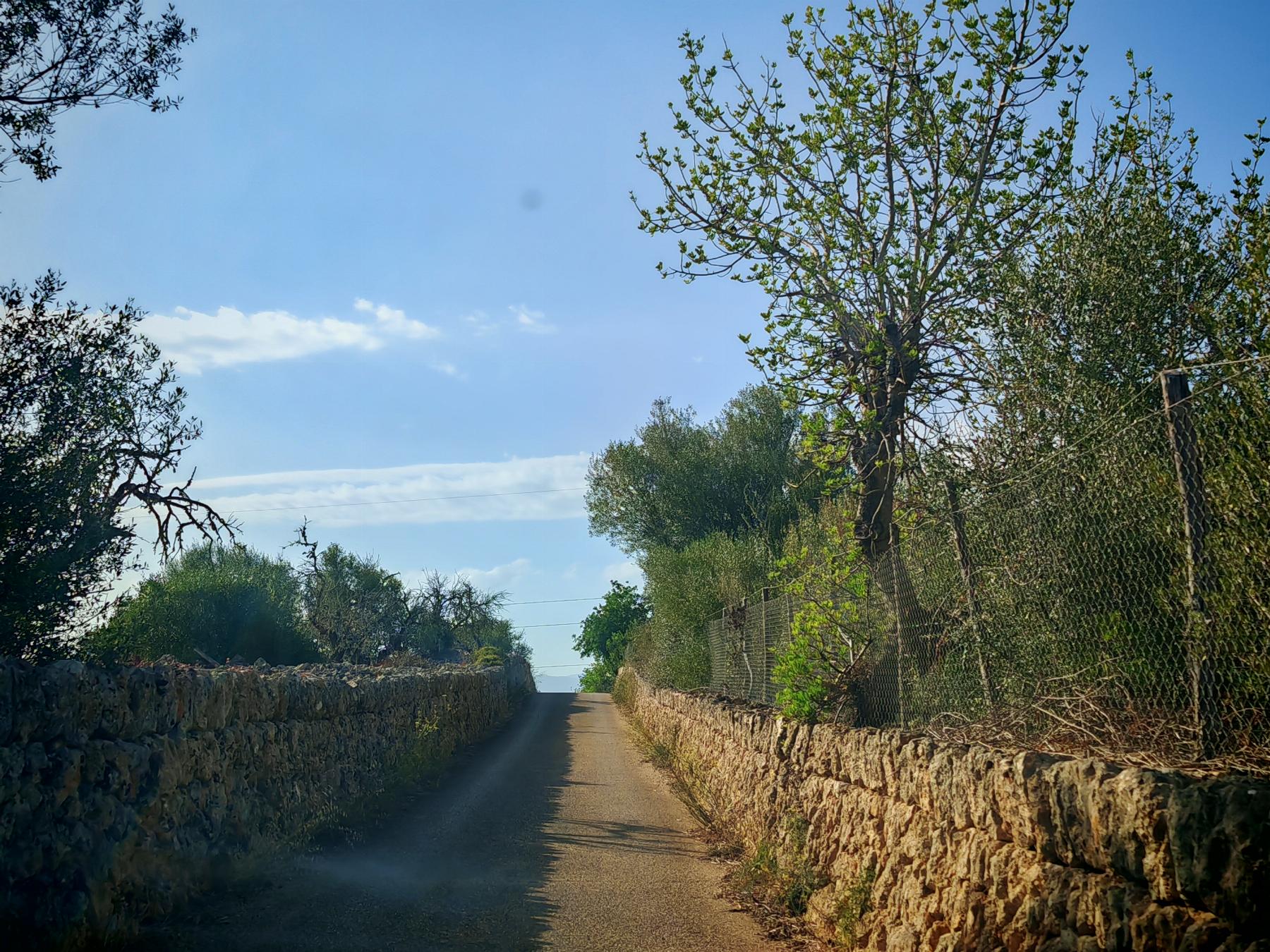 For sale of rural property in Costitx