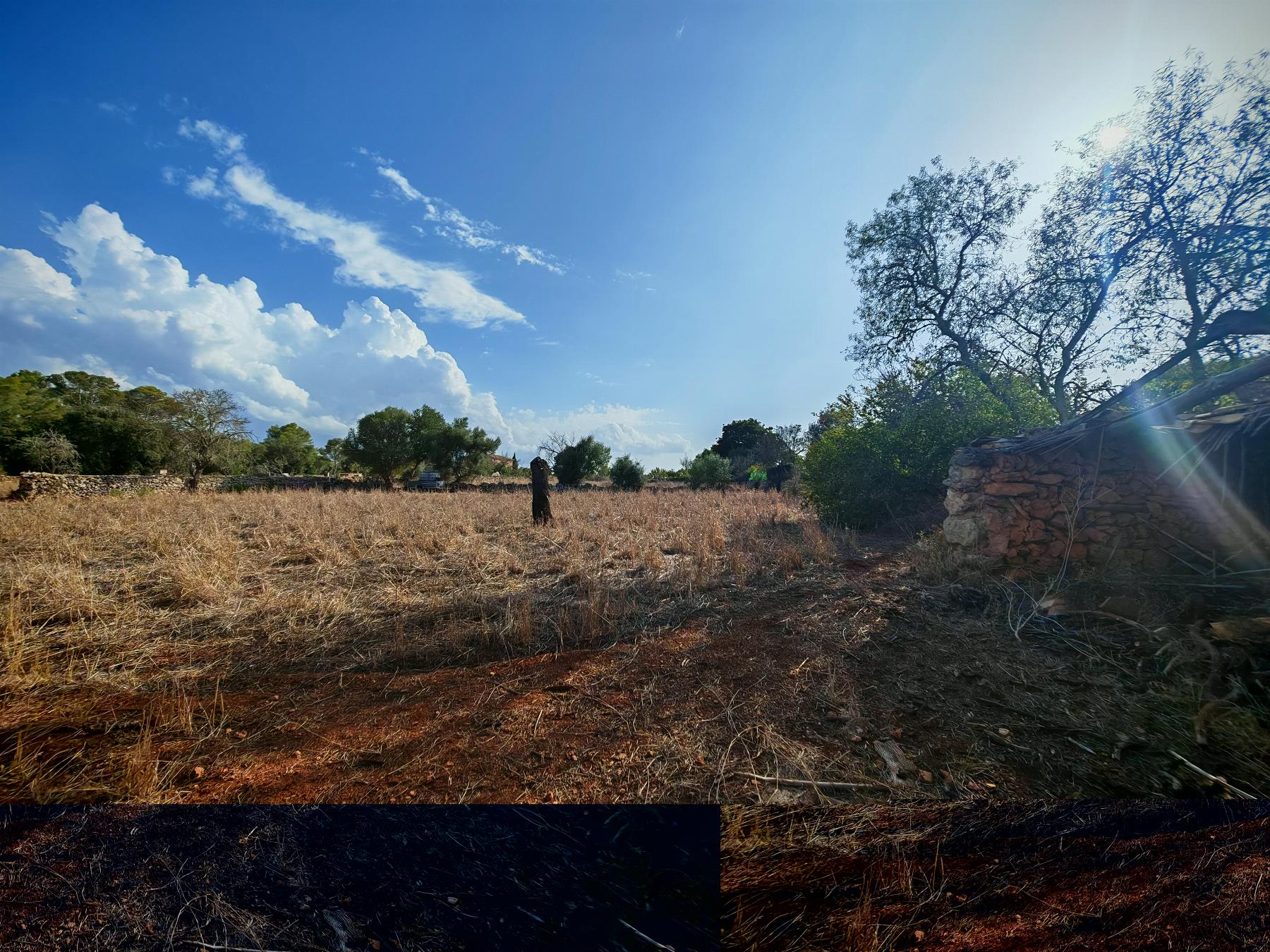 For sale of rural property in Costitx