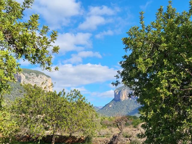 For sale of land in Alaró