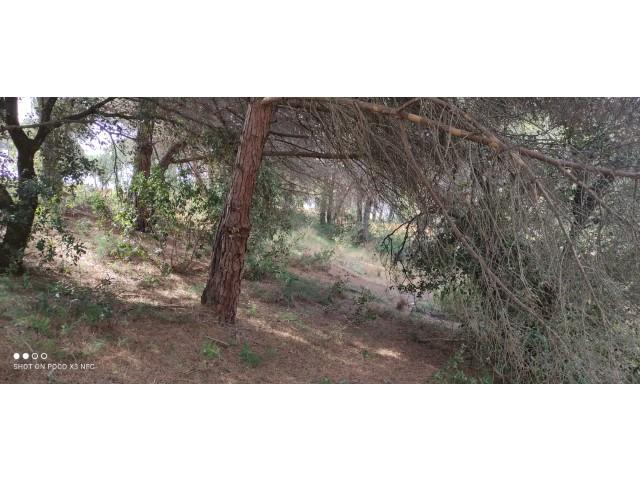 For sale of land in Sant Pol de Mar