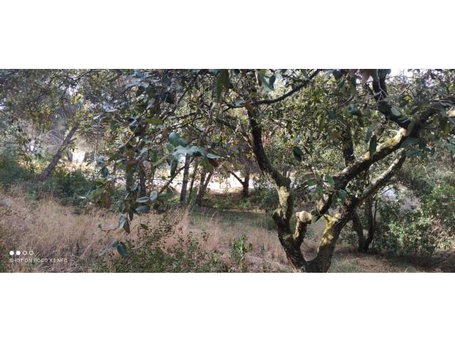 For sale of land in Sant Pol de Mar