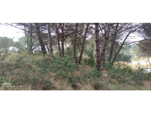 For sale of land in Sant Pol de Mar
