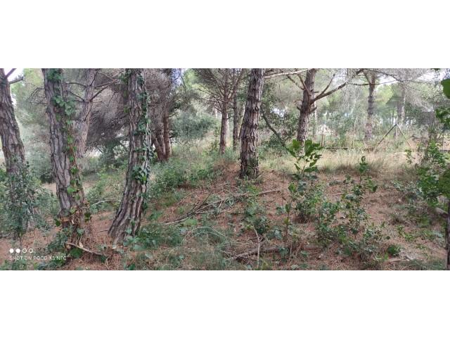 For sale of land in Sant Pol de Mar