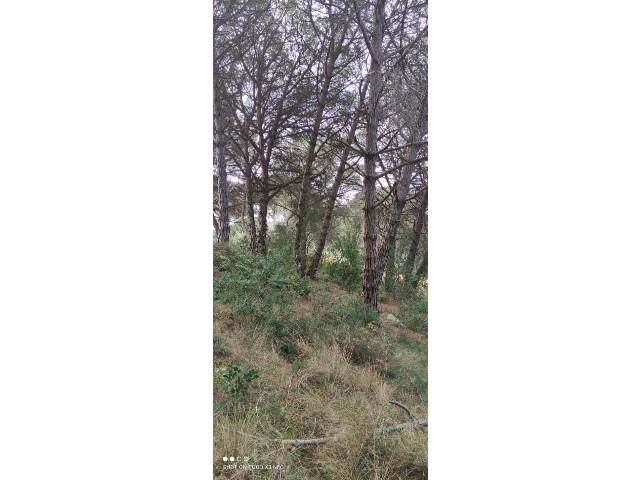 For sale of land in Sant Pol de Mar