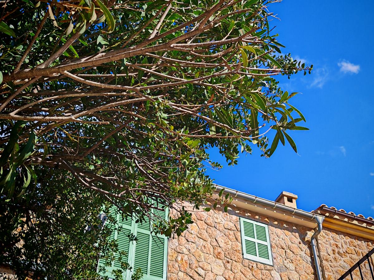 For sale of chalet in Alaró