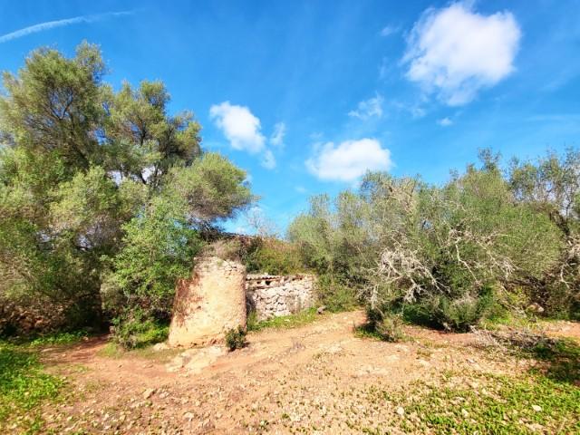 For sale of land in Costitx