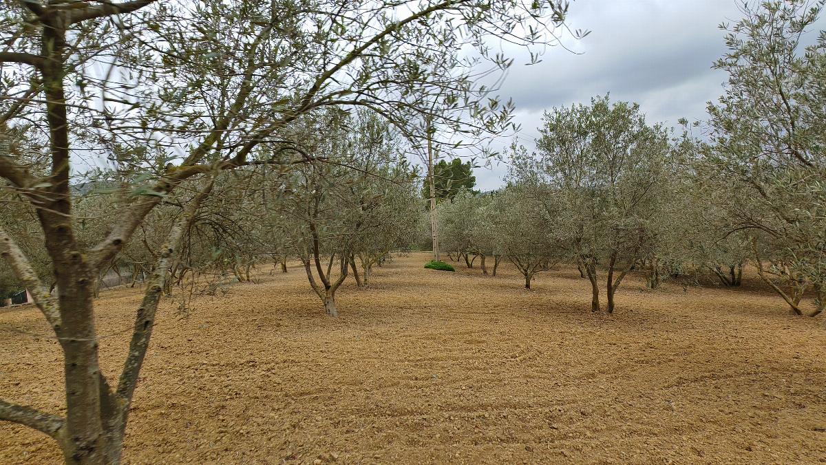 For sale of house in Calvià