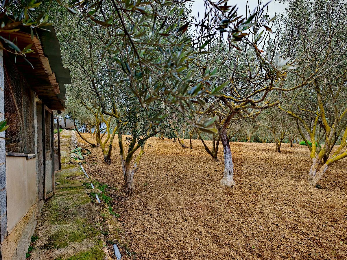 For sale of house in Calvià