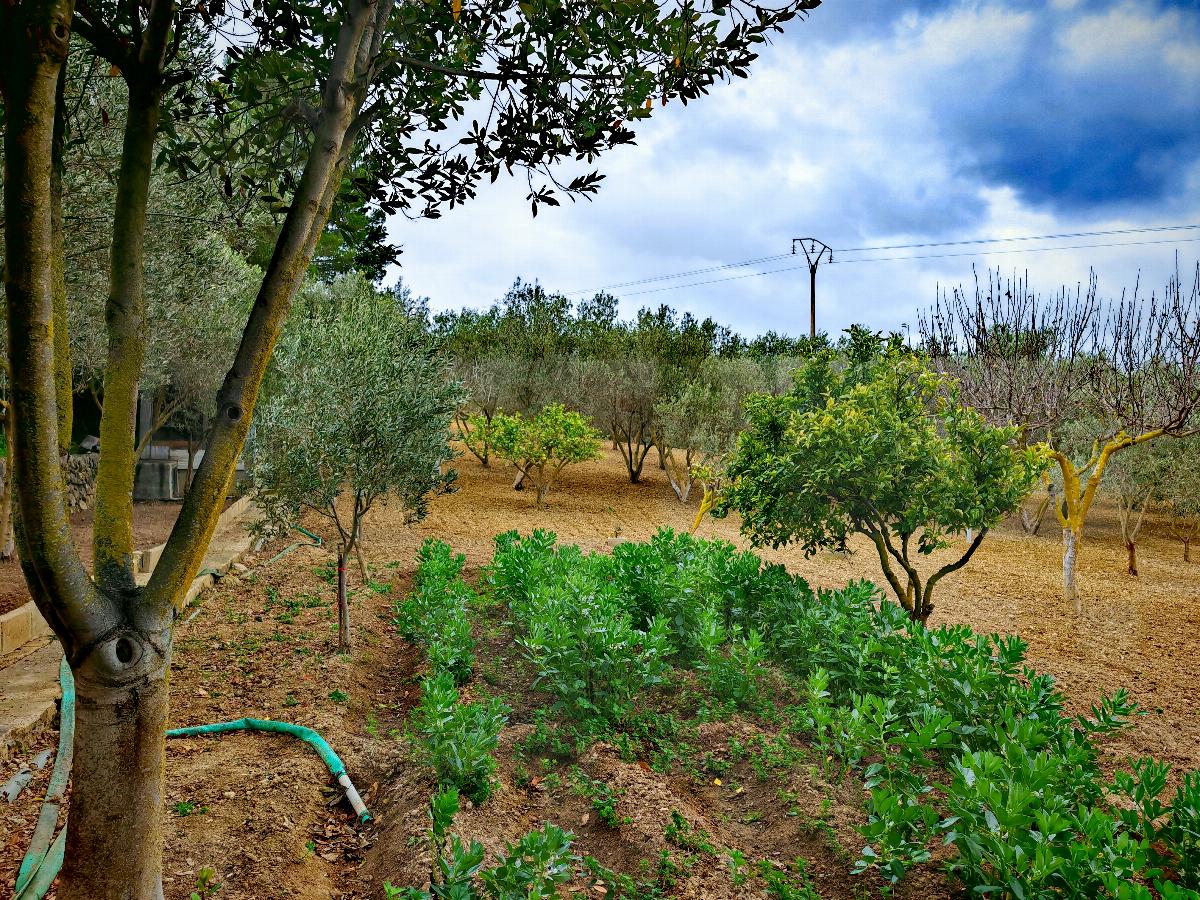 For sale of house in Calvià