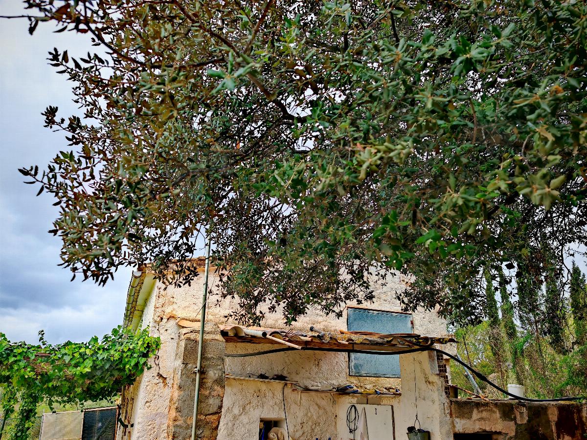 For sale of house in Calvià
