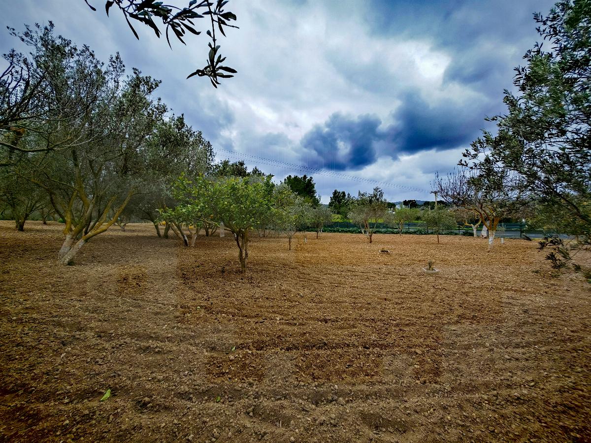 For sale of house in Calvià