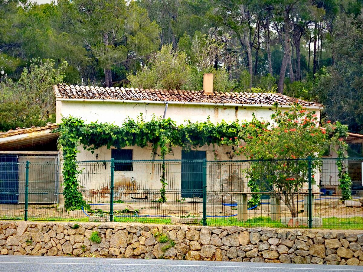 For sale of house in Calvià