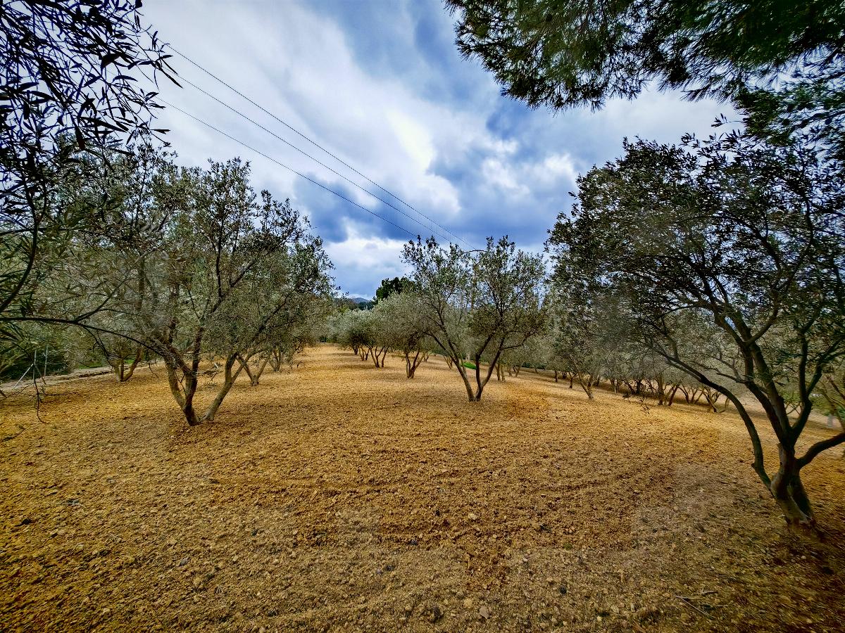 For sale of house in Calvià