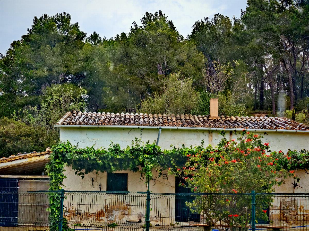 For sale of house in Calvià