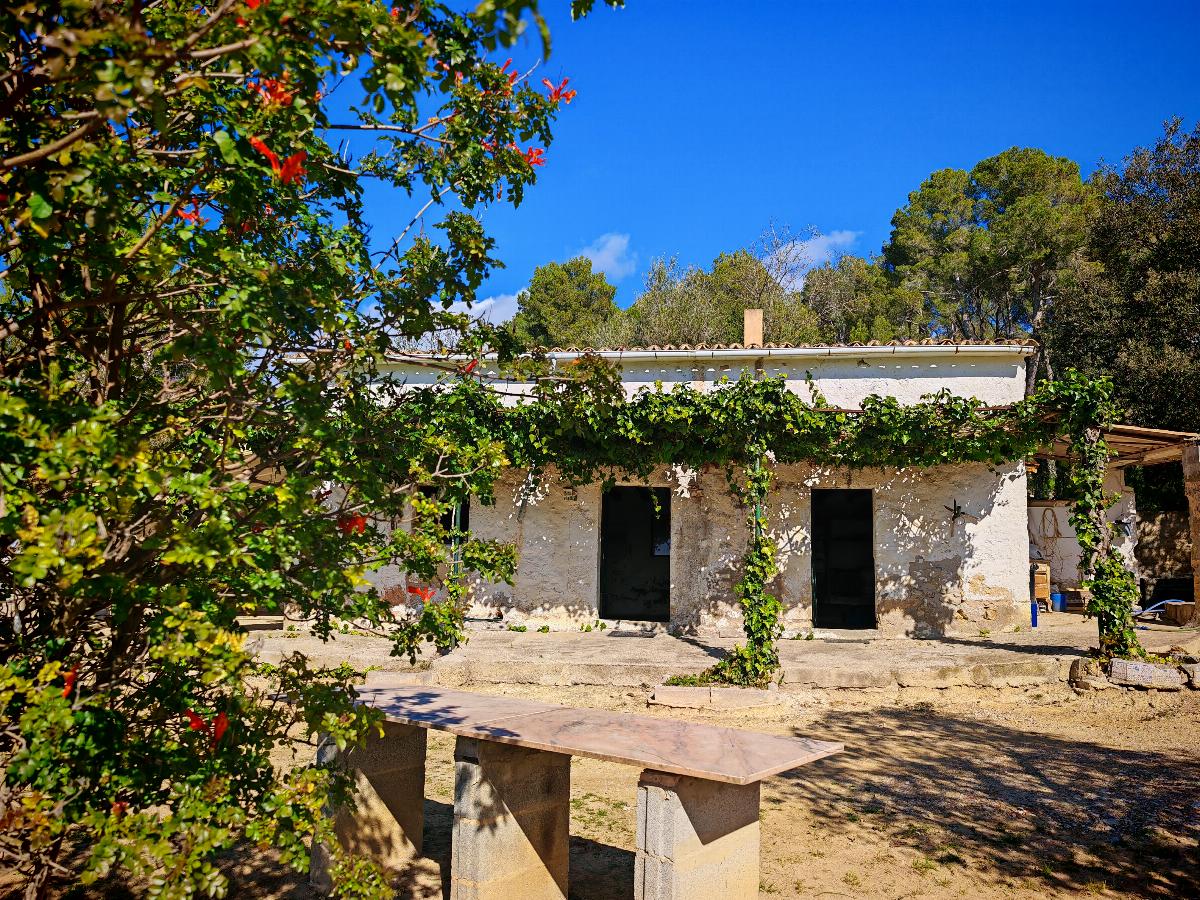 For sale of house in Calvià