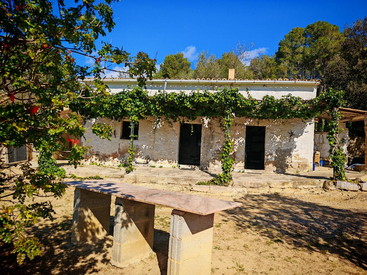 For sale of house in Calvià