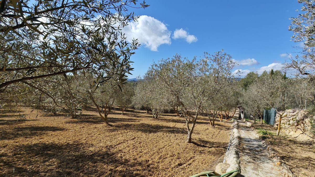For sale of house in Calvià
