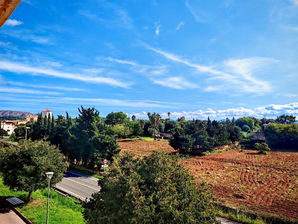 Venta de dúplex en Alcúdia