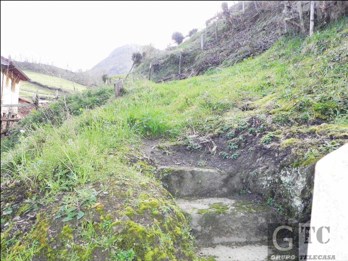 For sale of house in Oviedo